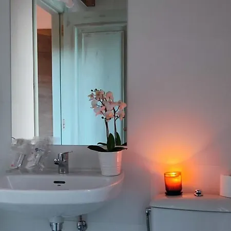 La Solana Del Abuelo Andres La Chana